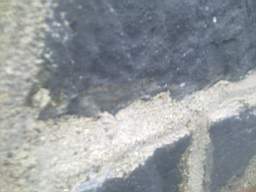 millstreet 10900.jpg